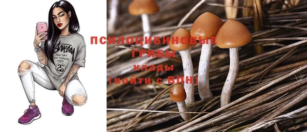spice Балабаново
