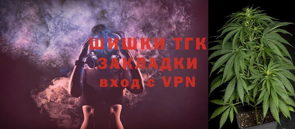 ГАЛЛЮЦИНОГЕННЫЕ ГРИБЫ Заводоуковск
