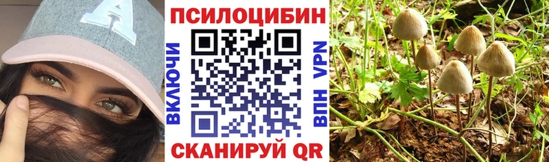 Псилоцибиновые грибы мухоморы Поворино